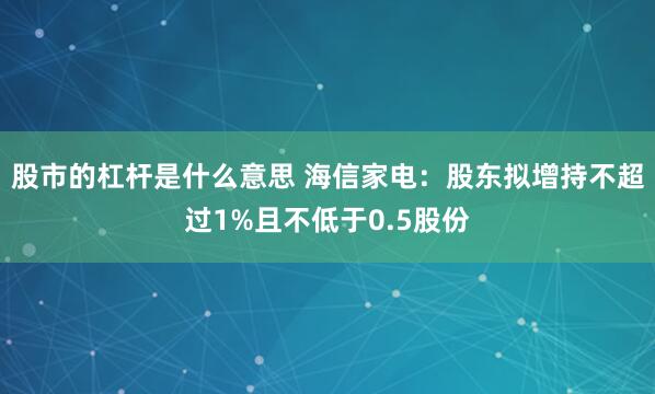 股市的杠杆是什么意思 海信家电：股东拟增持不超过1%且不低于0.5股份