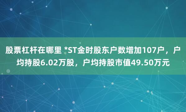 股票杠杆在哪里 *ST金时股东户数增加107户，户均持股6.02万股，户均持股市值49.50万元