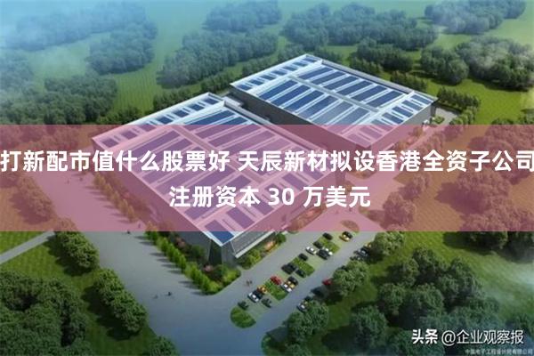 打新配市值什么股票好 天辰新材拟设香港全资子公司 注册资本 30 万美元