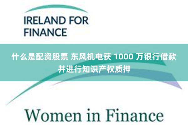 什么是配资股票 东风机电获 1000 万银行借款并进行知识产权质押