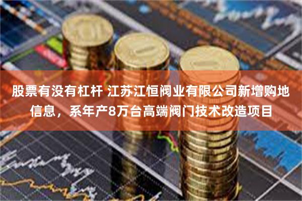 股票有没有杠杆 江苏江恒阀业有限公司新增购地信息，系年产8万台高端阀门技术改造项目