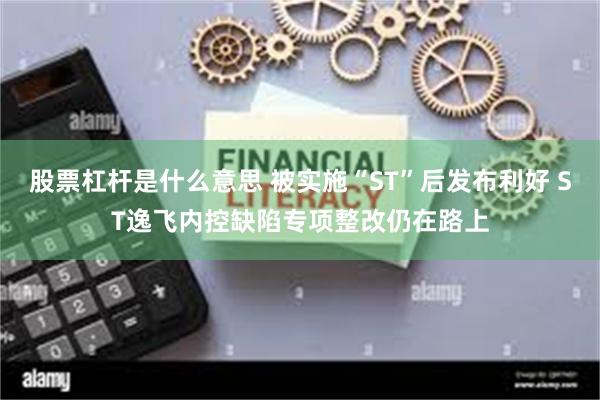 股票杠杆是什么意思 被实施“ST”后发布利好 ST逸飞内控缺陷专项整改仍在路上