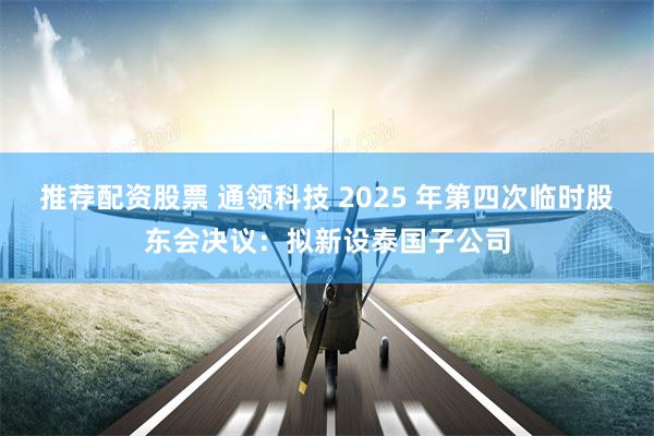 推荐配资股票 通领科技 2025 年第四次临时股东会决议：拟新设泰国子公司