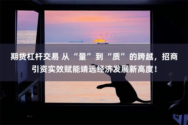 期货杠杆交易 从 “量” 到 “质” 的跨越，招商引资实效赋能靖远经济发展新高度！