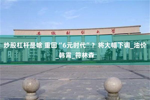炒股杠杆是啥 重回“6元时代”？将大幅下调_油价_韩霄_符林森