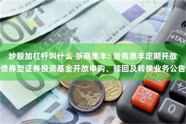 炒股加杠杆叫什么 浙商惠丰: 浙商惠丰定期开放债券型证券投资基金开放申购、赎回及转换业务公告