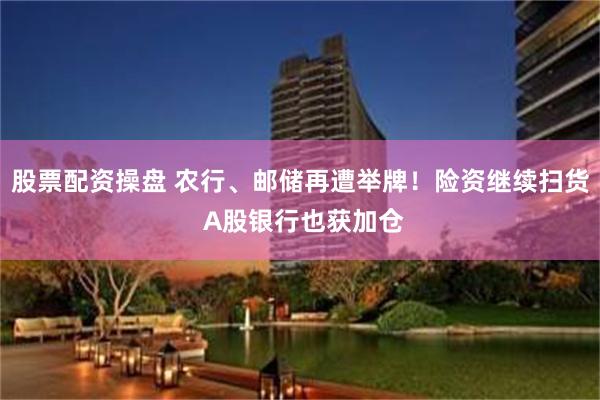 股票配资操盘 农行、邮储再遭举牌！险资继续扫货 A股银行也获加仓