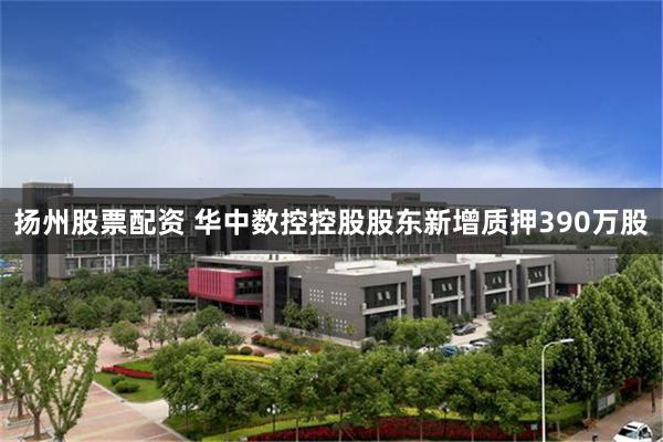 扬州股票配资 华中数控控股股东新增质押390万股