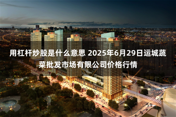 用杠杆炒股是什么意思 2025年6月29日运城蔬菜批发市场有限公司价格行情