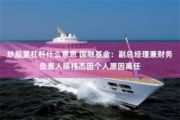 炒股里杠杆什么意思 国融基金：副总经理兼财务负责人陈祎杰因个人原因离任