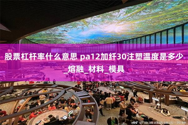 股票杠杆率什么意思 pa12加纤30注塑温度是多少_熔融_材料_模具