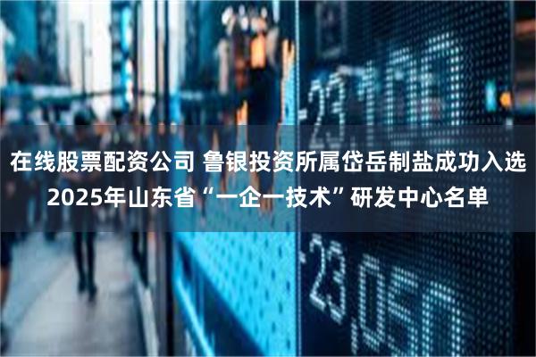 在线股票配资公司 鲁银投资所属岱岳制盐成功入选2025年山东省“一企一技术”研发中心名单
