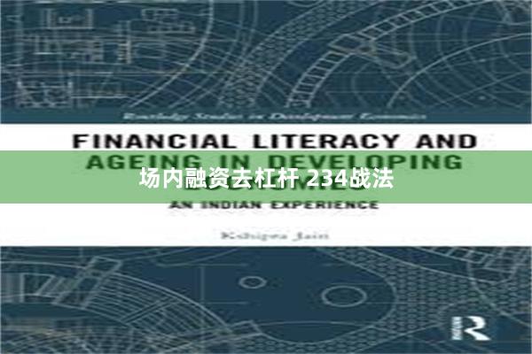 场内融资去杠杆 234战法