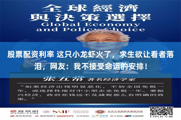 股票配资利率 这只小龙虾火了，求生欲让看者落泪，网友：我不接受命运的安排！