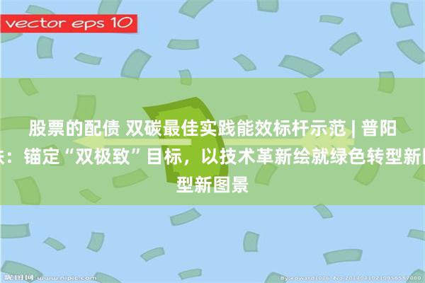 股票的配债 双碳最佳实践能效标杆示范 | 普阳钢铁：锚定“双极致”目标，以技术革新绘就绿色转型新图景