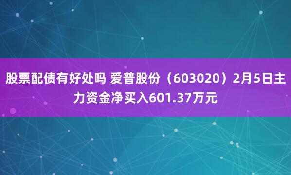 股票配债有好处吗 爱普股份（603020）2月5日主力资金净买入601.37万元