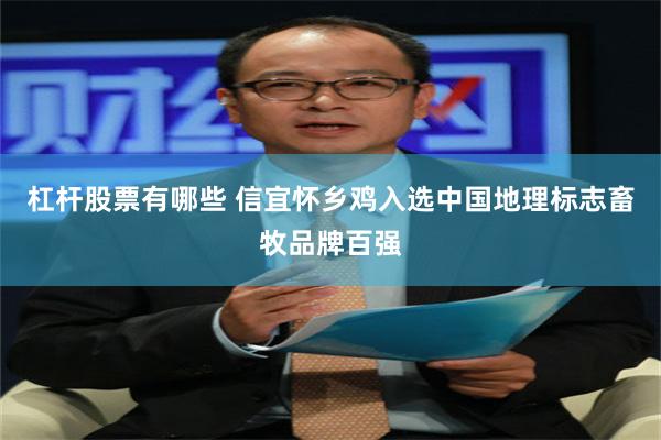 杠杆股票有哪些 信宜怀乡鸡入选中国地理标志畜牧品牌百强