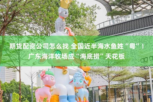 期货配资公司怎么找 全国近半海水鱼姓“粤”！广东海洋牧场成“海底捞”天花板