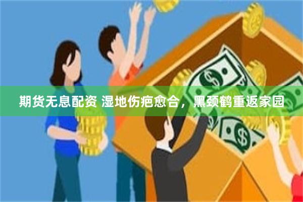 期货无息配资 湿地伤疤愈合，黑颈鹤重返家园