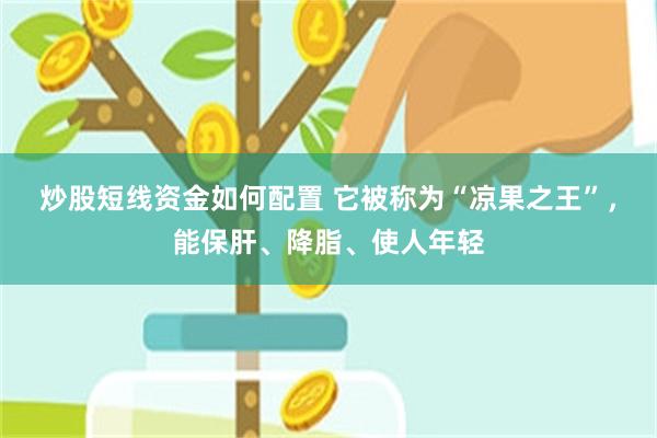 炒股短线资金如何配置 它被称为“凉果之王”，能保肝、降脂、使人年轻
