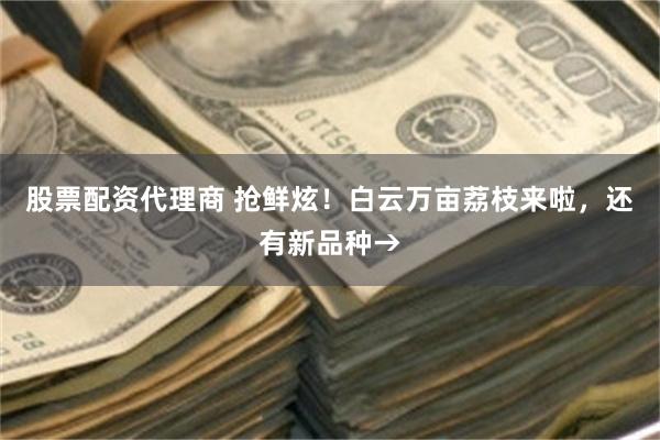 股票配资代理商 抢鲜炫！白云万亩荔枝来啦，还有新品种→