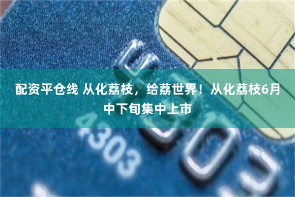 配资平仓线 从化荔枝，给荔世界！从化荔枝6月中下旬集中上市