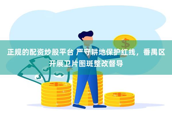 正规的配资炒股平台 严守耕地保护红线，番禺区开展卫片图斑整改督导