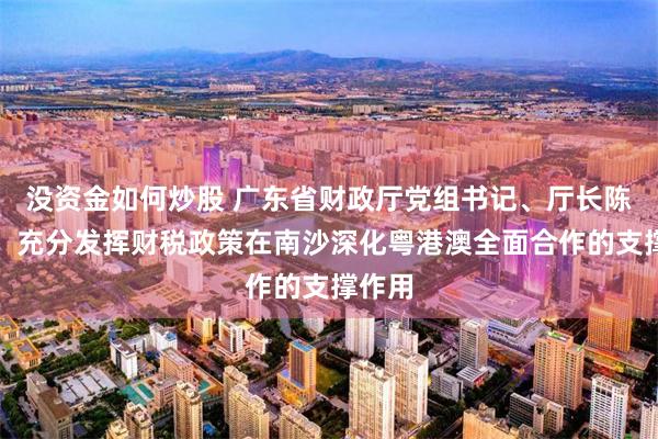 没资金如何炒股 广东省财政厅党组书记、厅长陈国煌：充分发挥财税政策在南沙深化粤港澳全面合作的支撑作用