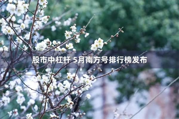 股市中杠杆 5月南方号排行榜发布