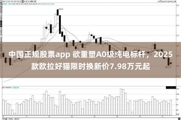 中国正规股票app 欲重塑A0级纯电标杆，2025款欧拉好猫限时换新价7.98万元起