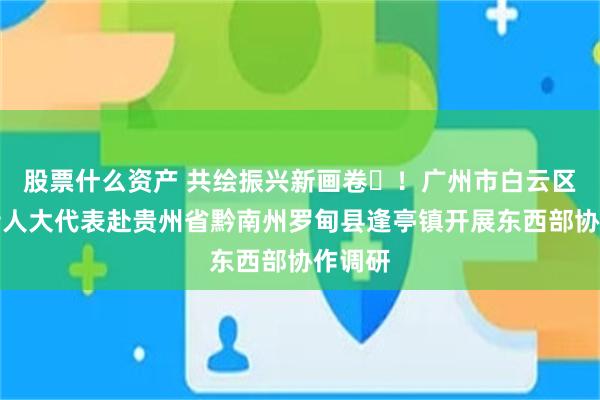 股票什么资产 共绘振兴新画卷‌！广州市白云区永平街人大代表赴贵州省黔南州罗甸县逢亭镇开展东西部协作调研