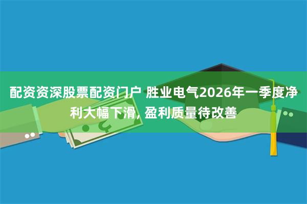 配资资深股票配资门户 胜业电气2026年一季度净利大幅下滑, 盈利质量待改善