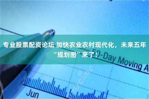 专业股票配资论坛 加快农业农村现代化，未来五年“规划图”来了！