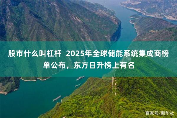 股市什么叫杠杆 2025年全球储能系统集成商榜单公布,东方日升榜上有名