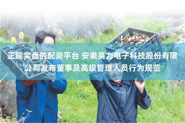 正规实盘的配资平台 安徽英力电子科技股份有限公司发布董事及高级管理人员行为规范