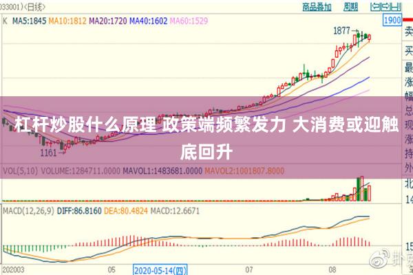 杠杆炒股什么原理 政策端频繁发力 大消费或迎触底回升