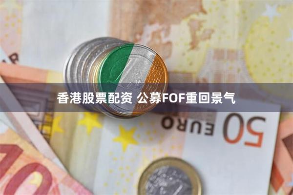 香港股票配资 公募FOF重回景气