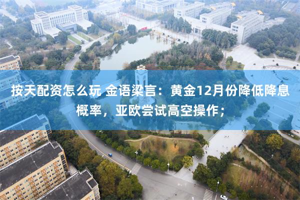 按天配资怎么玩 金语梁言：黄金12月份降低降息概率，亚欧尝试高空操作；