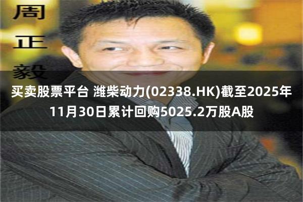 买卖股票平台 潍柴动力(02338.HK)截至2025年11月30日累计回购5025.2万股A股