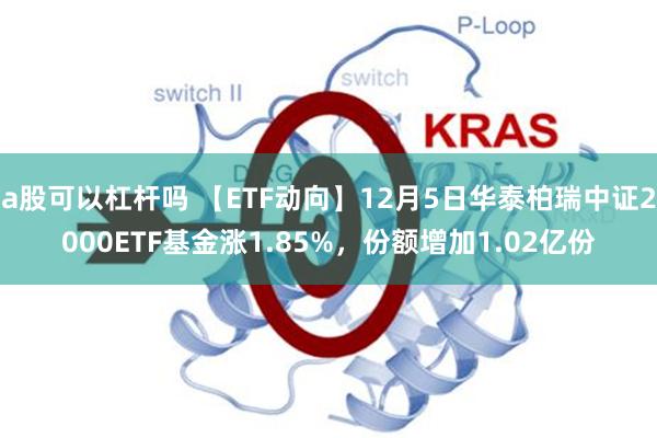 a股可以杠杆吗 【ETF动向】12月5日华泰柏瑞中证2000ETF基金涨1.85%，份额增加1.02亿份