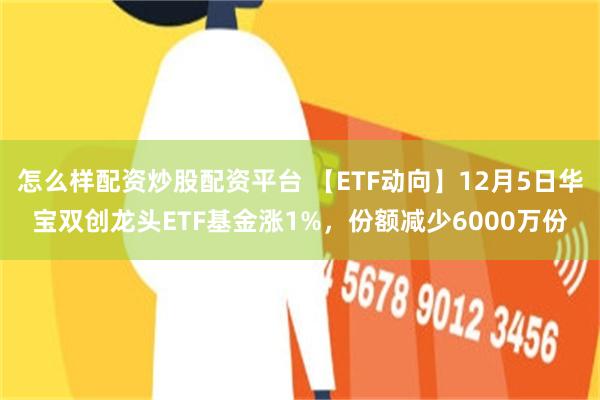 怎么样配资炒股配资平台 【ETF动向】12月5日华宝双创龙头ETF基金涨1%，份额减少6000万份