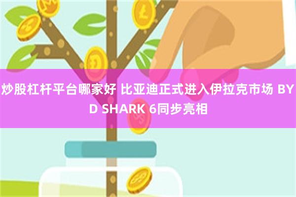 炒股杠杆平台哪家好 比亚迪正式进入伊拉克市场 BYD SHARK 6同步亮相