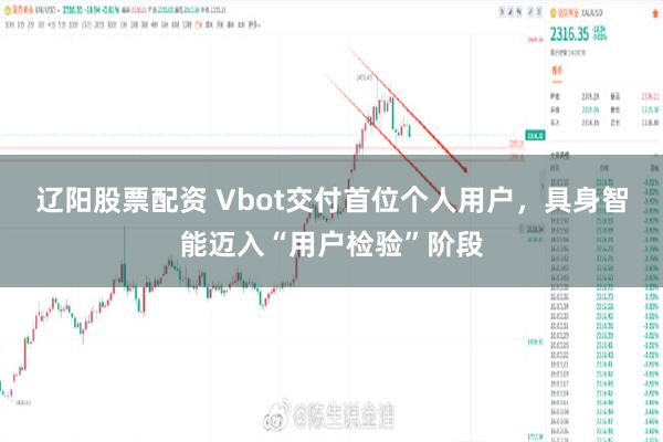 辽阳股票配资 Vbot交付首位个人用户,具身智能迈入“用户检验”阶段