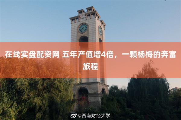 在线实盘配资网 五年产值增4倍,一颗杨梅的奔富旅程