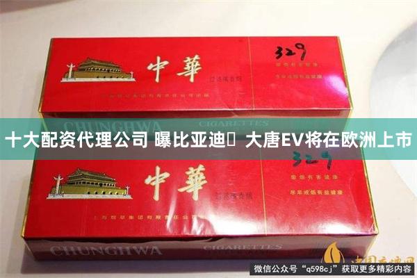 十大配资代理公司 曝比亚迪‌大唐EV将在欧洲上市
