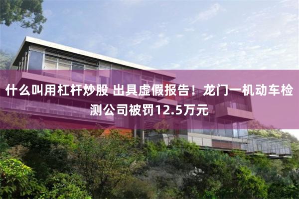 什么叫用杠杆炒股 出具虚假报告！龙门一机动车检测公司被罚12.5万元