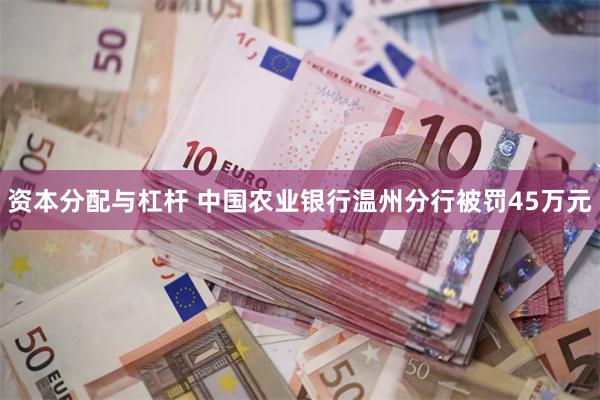 资本分配与杠杆 中国农业银行温州分行被罚45万元