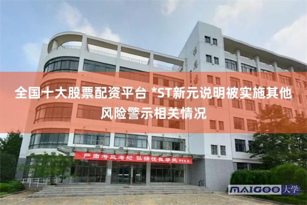 全国十大股票配资平台 *ST新元说明被实施其他风险警示相关情况