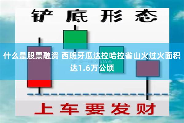 什么是股票融资 西班牙瓜达拉哈拉省山火过火面积达1.6万公顷