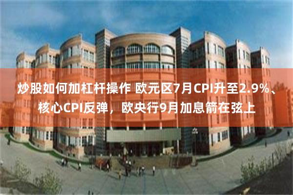 炒股如何加杠杆操作 欧元区7月CPI升至2.9%、核心CPI反弹，欧央行9月加息箭在弦上